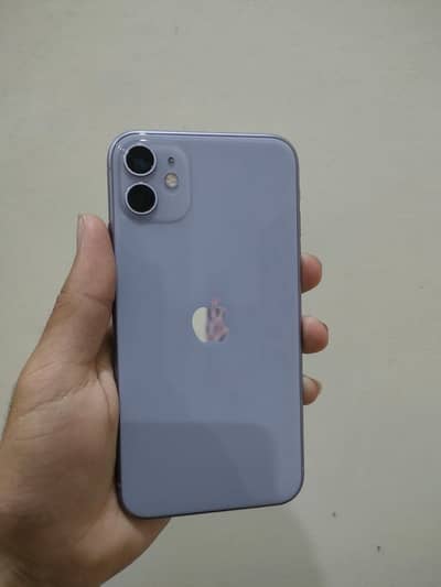 iPhone 11 PTA approved