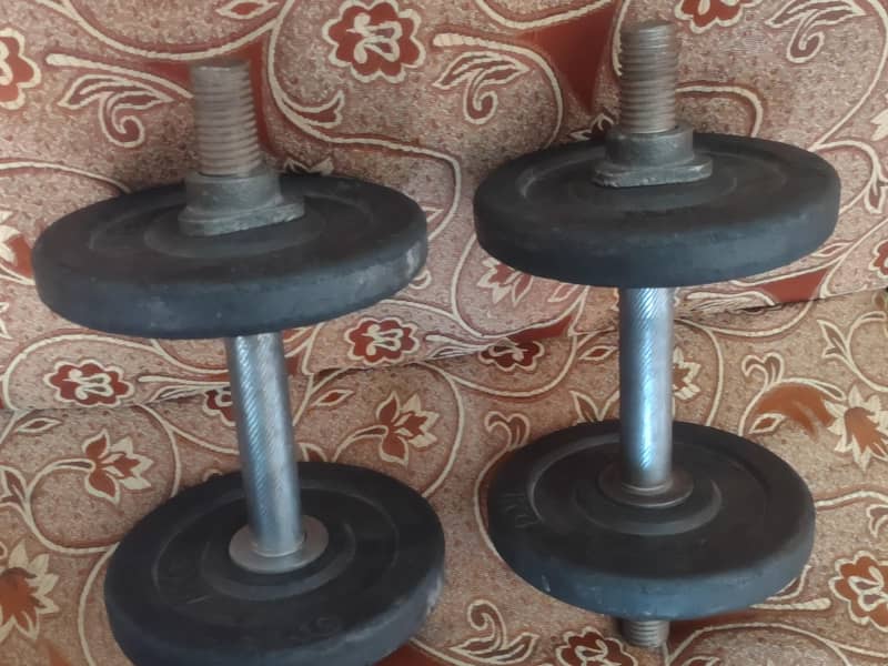 Adjustable dumbbells 1