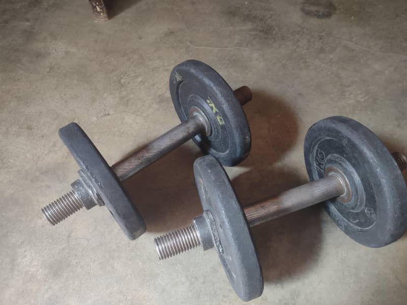 Adjustable dumbbells 2