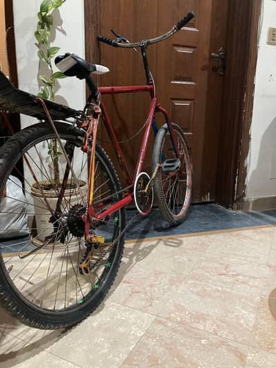 cycle for sale