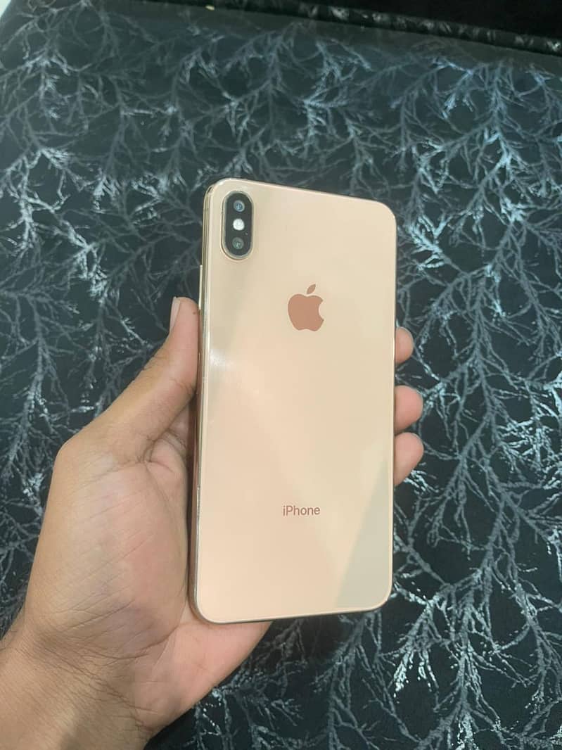 XS Max 3