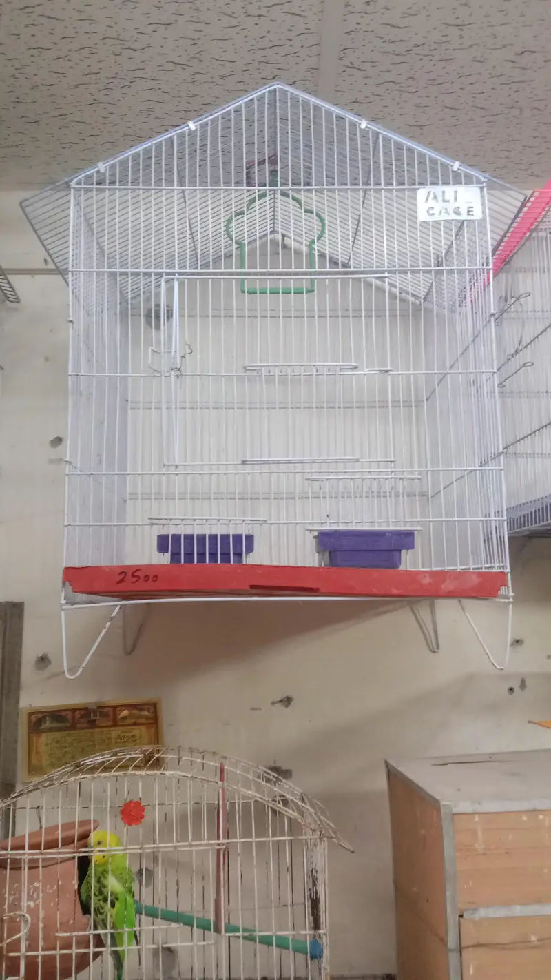 folding cages — photo 12