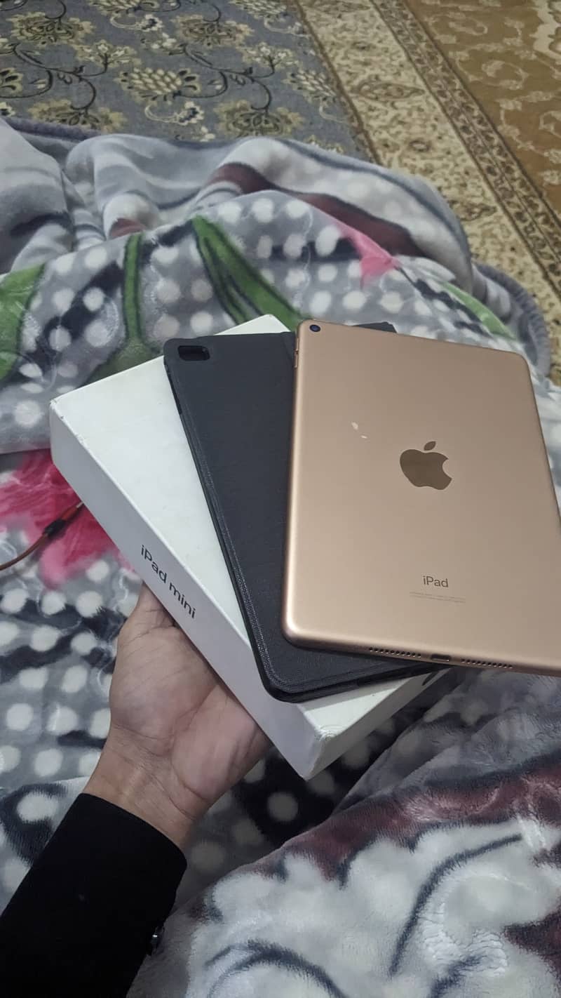 iPad mini 5 0