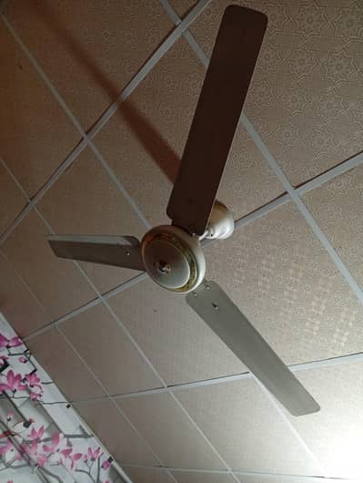fan pure copper