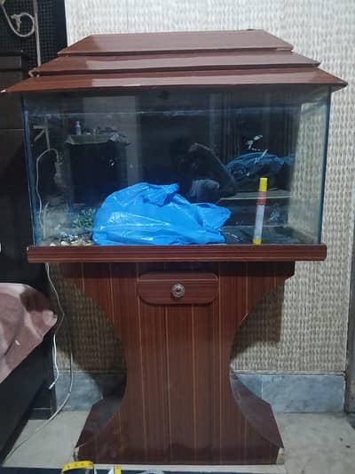 fish aqwarim sale krna ha