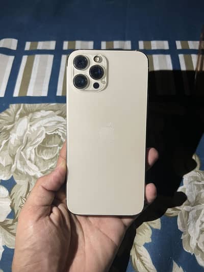 Iphone 12 Pro Max PTA Approved