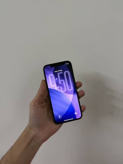 Iphone 12 pro FU(256)