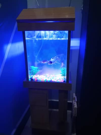 Aquarium 1ft with frame