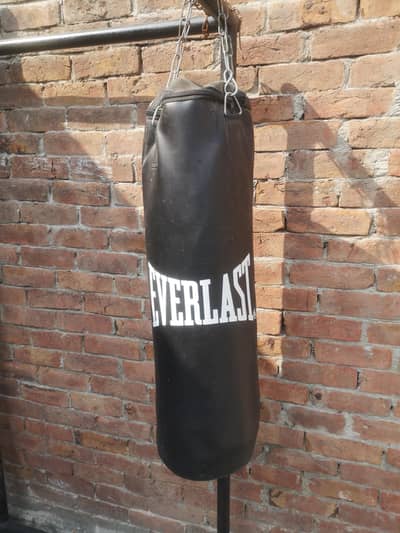Everlast Boxing Bag in just 2.5k