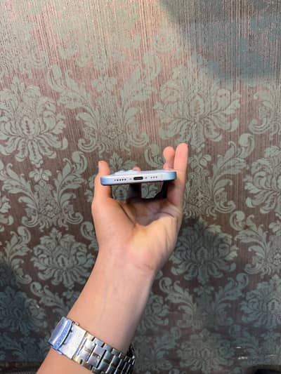 iphone 15 panel and body