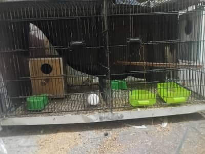 cage for sale bara wala 3000 chota wala 2000