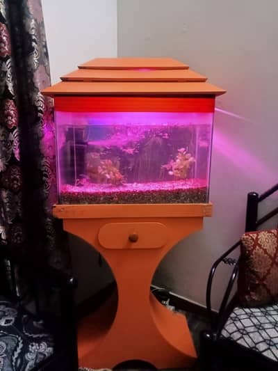 Aquarium Sale with full setup