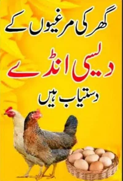 desi egg. .  دیسی انڈے