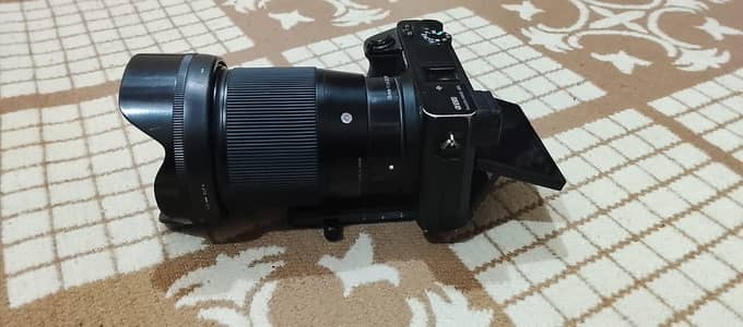 Sony A6500 16mm sigma