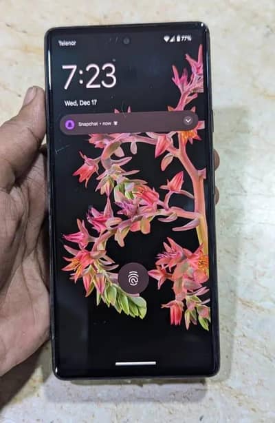 Google Pixel 6 pta approved