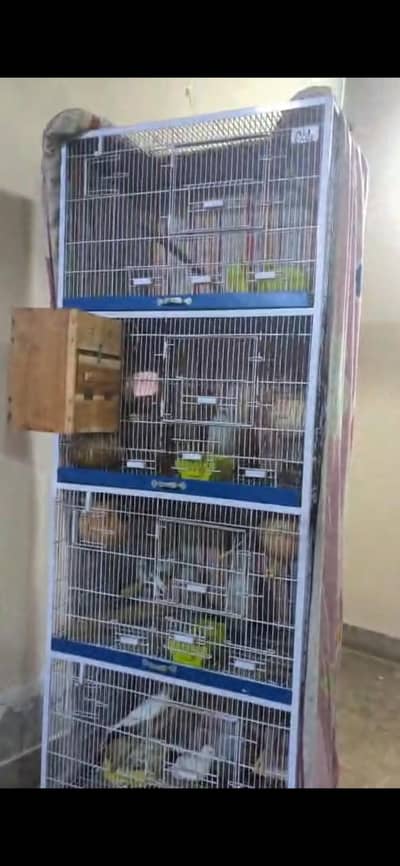 parrots cages