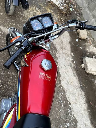 2019 Anteeq ,,Head pack100%