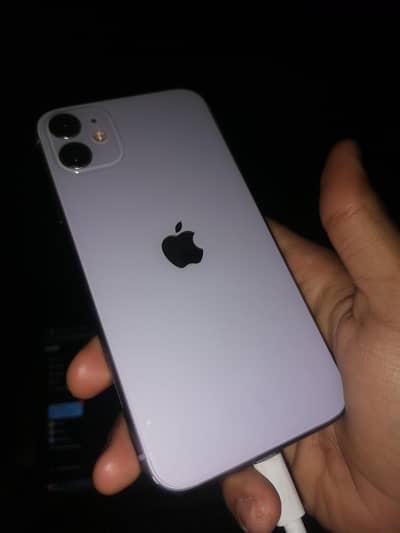 iPhone 11 iCloud locked 256gb panel changed