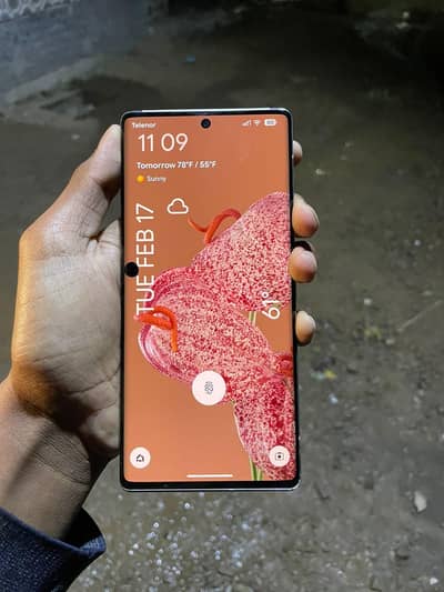 google pixel 6 pro 12/128 dual esim+physical 1sim text paid