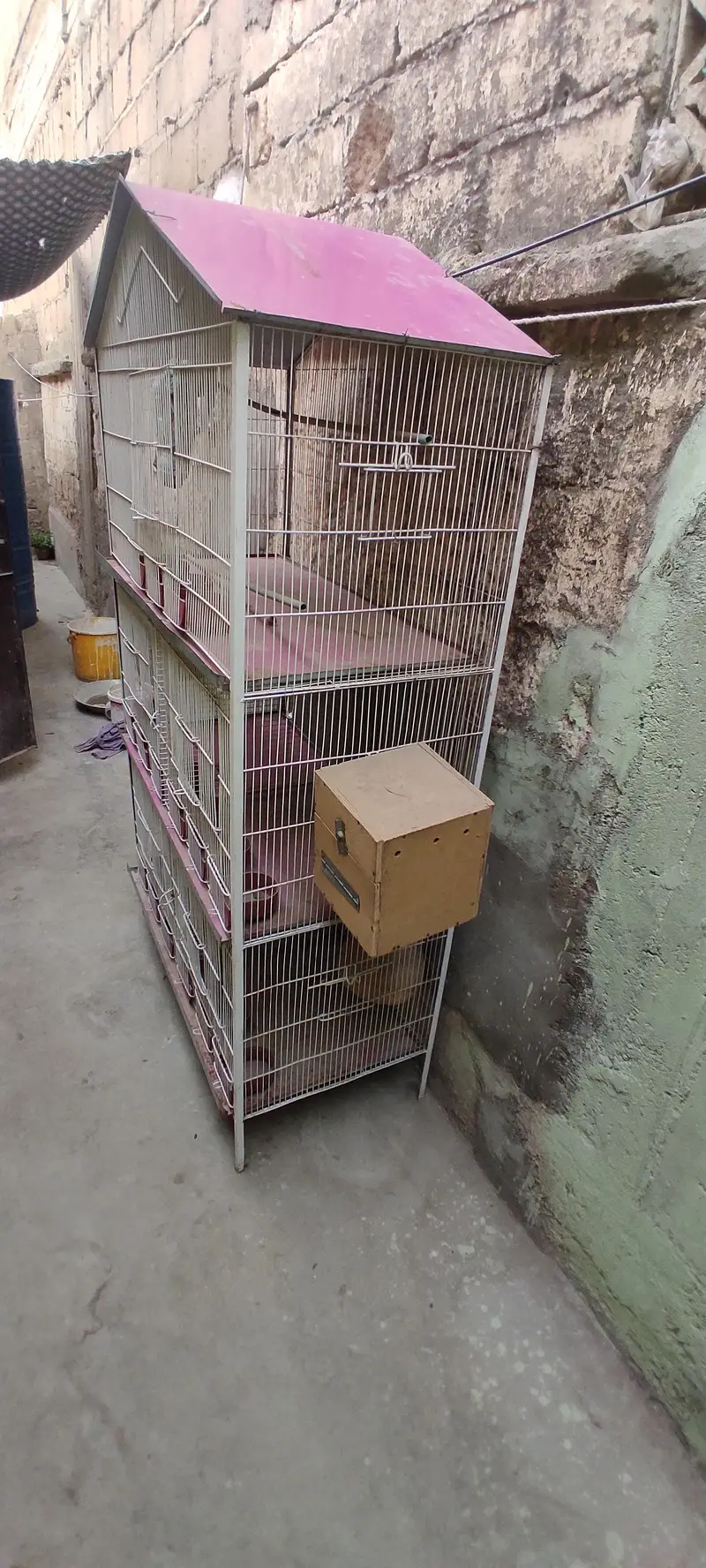 cage pinjra — photo 2