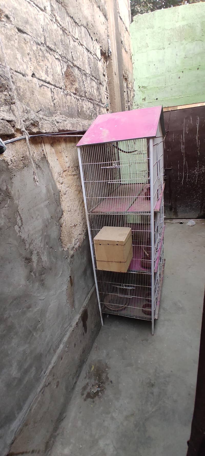 cage pinjra 2