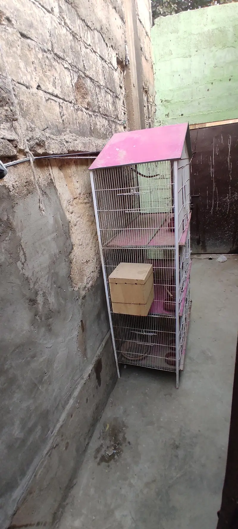cage pinjra — photo 3