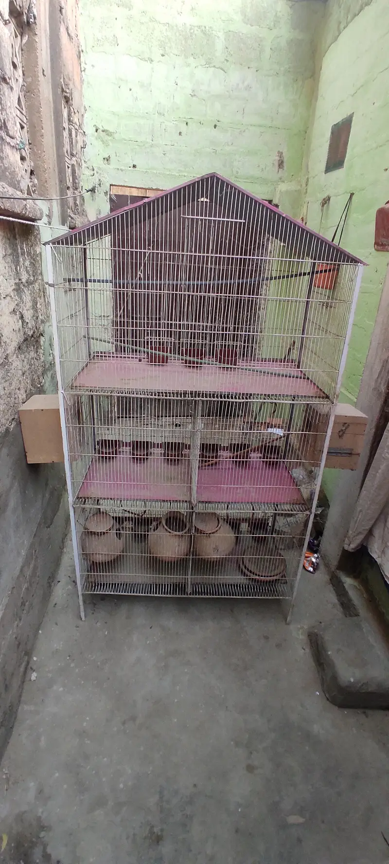 cage pinjra — photo 4