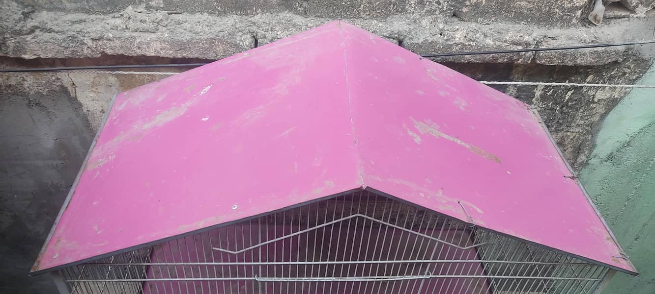 cage pinjra 4