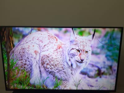 Original Samsung Led Tv 40 Inches Simple Made in Egypt