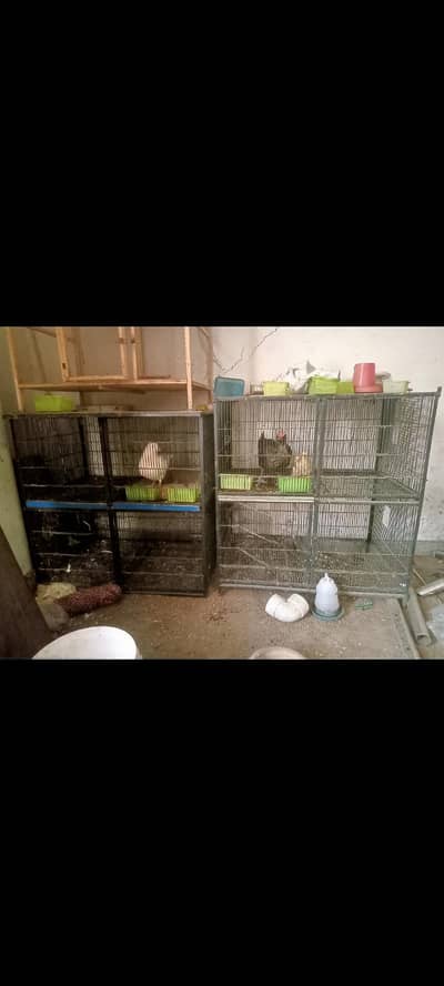 8 porcation iron cage 8 feet hight 4 feet wirth 2.5 deep