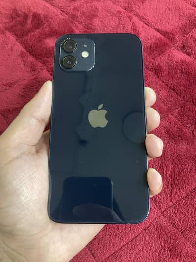 iPhone 12 non pta 64gb
