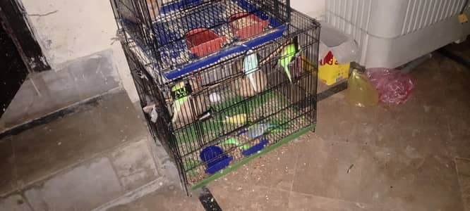 Parrots cage 1.5x2 | looks like new