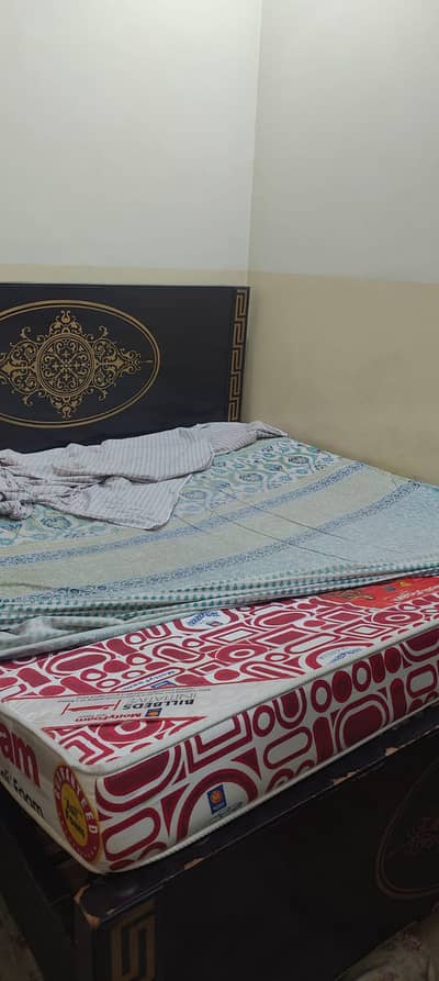 Master MoltyFoam | King Size | Used