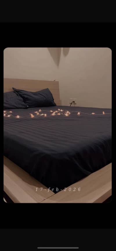 Floor bed with spring mattress