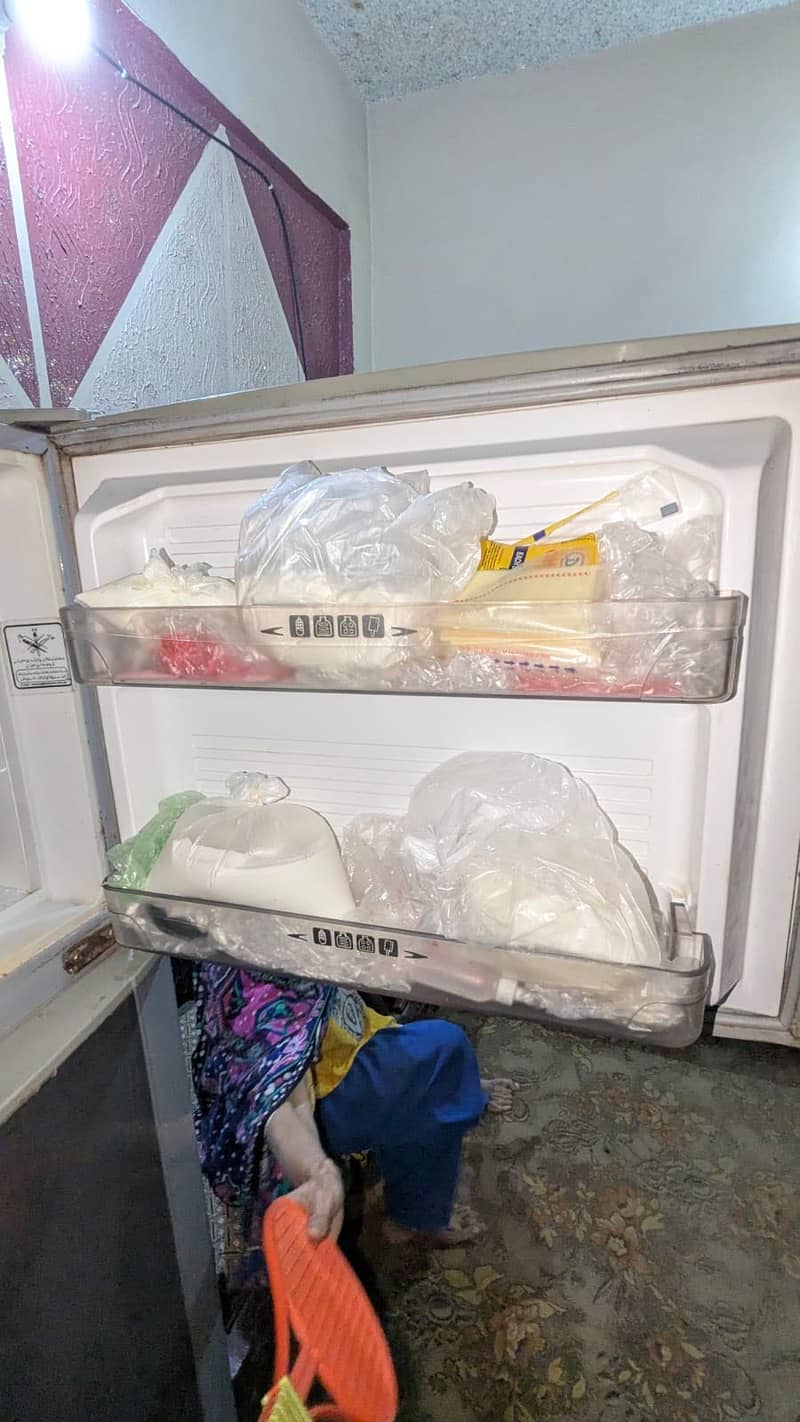 Dwanlance refrigerator 2