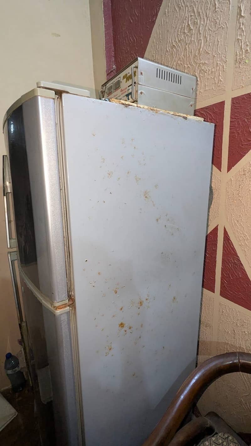 Dwanlance refrigerator 3