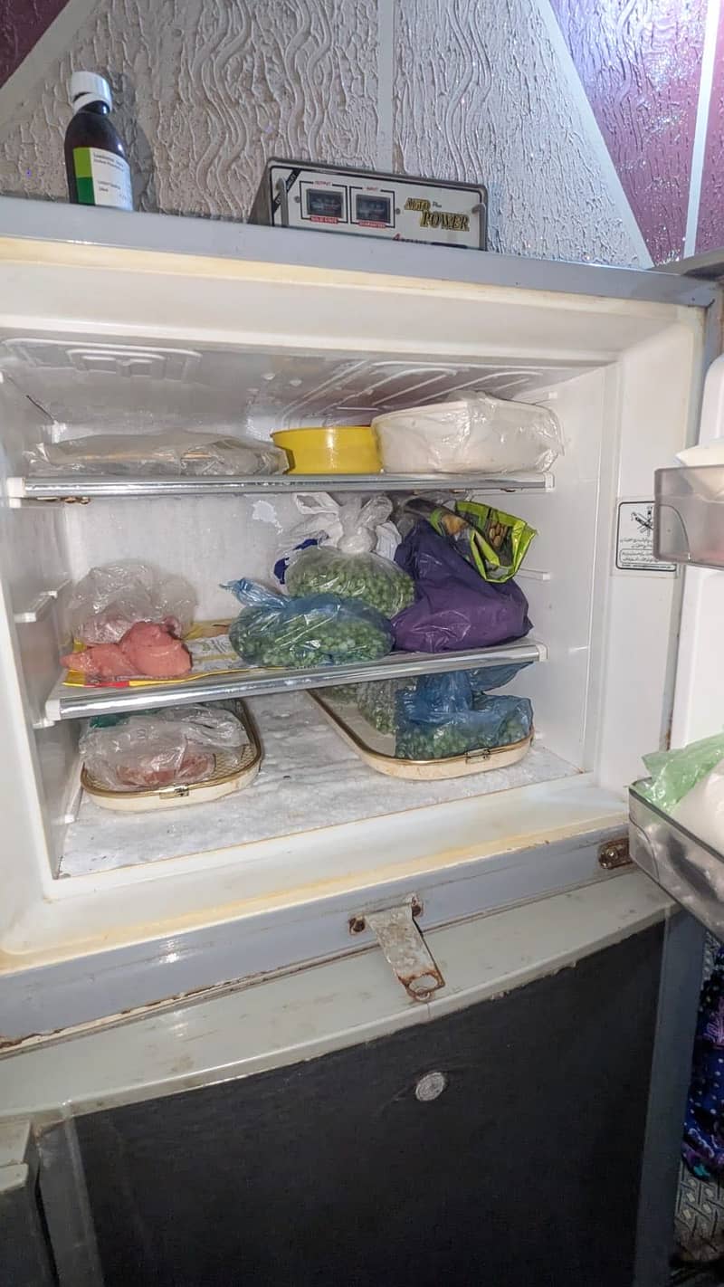 Dwanlance refrigerator 5