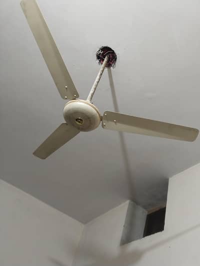 2 celling fan in good condition no any fault
