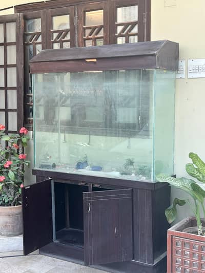 Aquarium For Sale