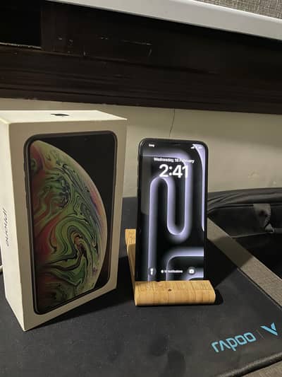 iPhone XS Max approved