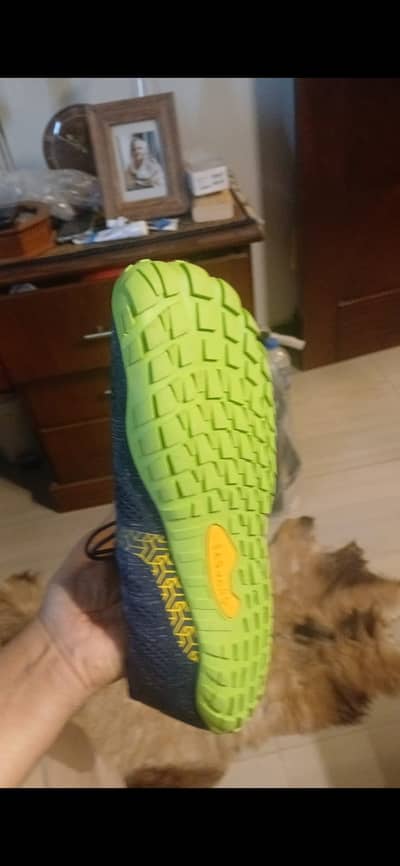 Barefoot Shoes Minimalist Saguaro Joggers Imported