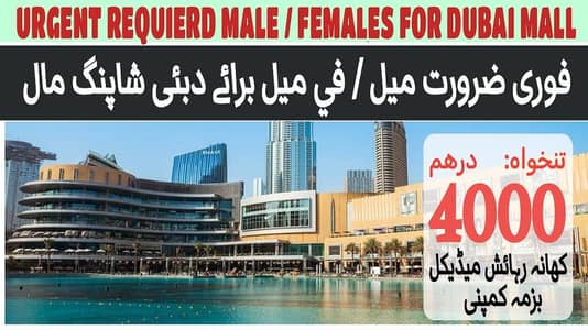 Urgently need Male Female Workers for Dubai Shopping Mall