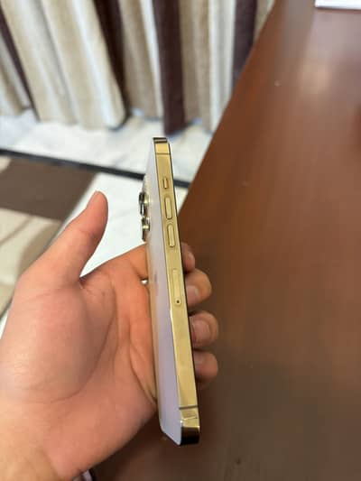 13 pro factor unlock