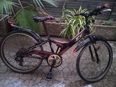 Bridgestone EX bicycle
