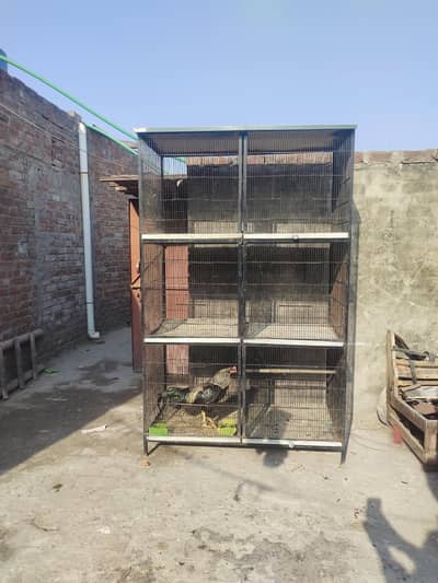 king size strong cage