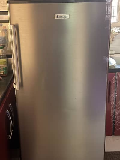 Esquire Standing Freezer chill cooling