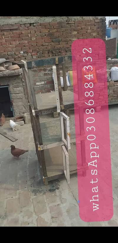 Pinjra mere pass Pada Hua Hai Iski hight 3:30 Churai iski