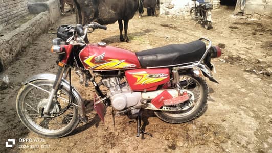 honda 125 red