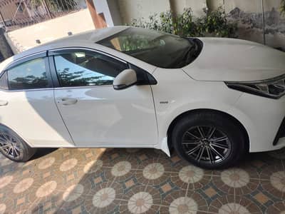 Gli special edition 2020 superwhite