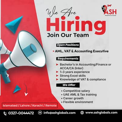 Accounting Executive